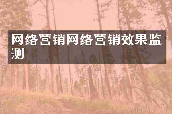 网络营销网络营销效果监测