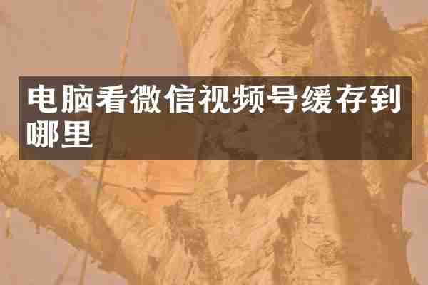 电脑看微信视频号缓存到哪里