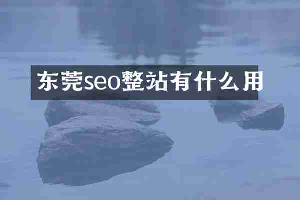 东莞seo整站有什么用