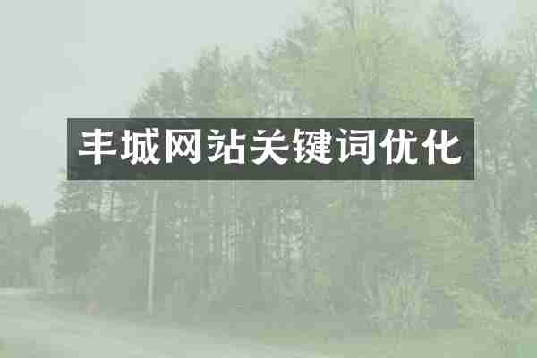 丰城网站关键词优化
