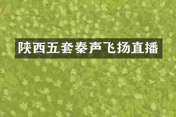 陕西五套秦声飞扬直播