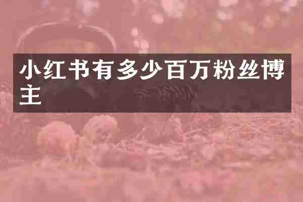 小红书有多少百万粉丝博主