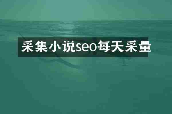 采集小说seo每天采量