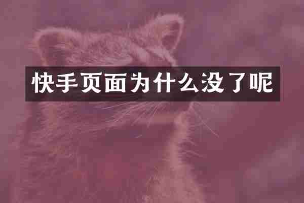 快手页面为什么没了呢
