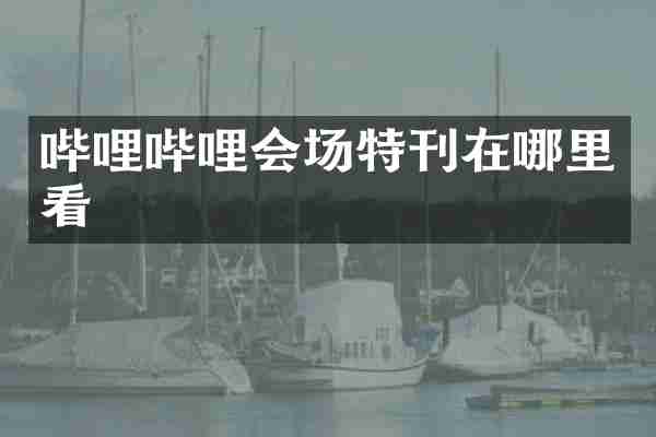 哔哩哔哩会场特刊在哪里看