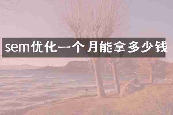 sem优化一个月能拿多少钱