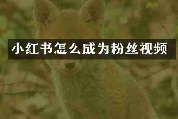 小红书怎么成为粉丝视频