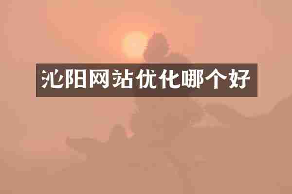 沁阳网站优化哪个好