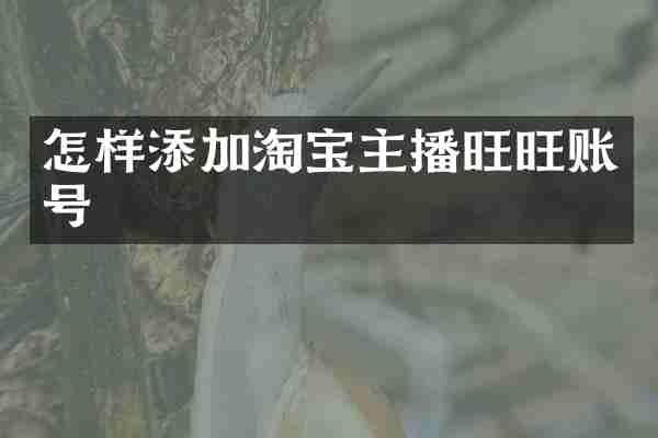 怎样添加淘宝主播旺旺账号