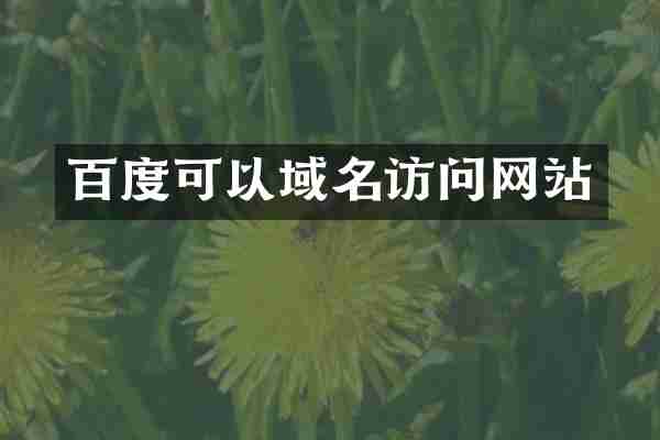 百度可以域名访问网站
