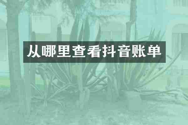 从哪里查看抖音账单