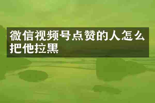 微信视频号点赞的人怎么把他拉黑