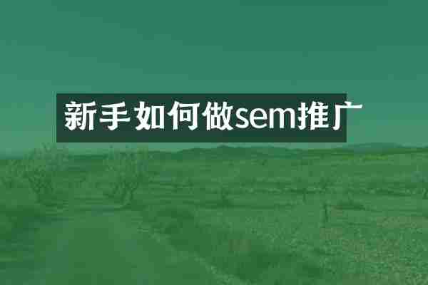 新手如何做sem推广