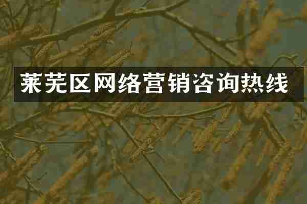 莱芜区网络营销咨询热线