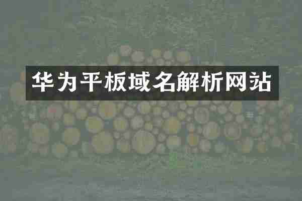 华为平板域名解析网站