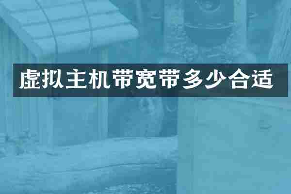 虚拟主机带宽带多少合适