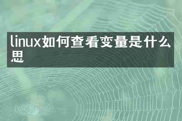 linux如何查看变量是什么意思