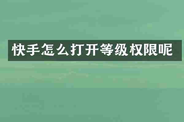 快手怎么打开等级权限呢