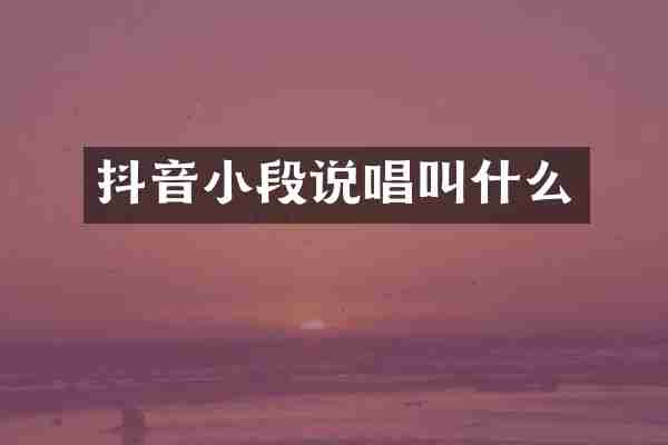 抖音小段说唱叫什么