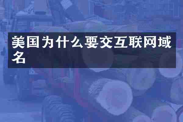 美国为什么要交互联网域名