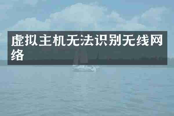 虚拟主机无法识别无线网络