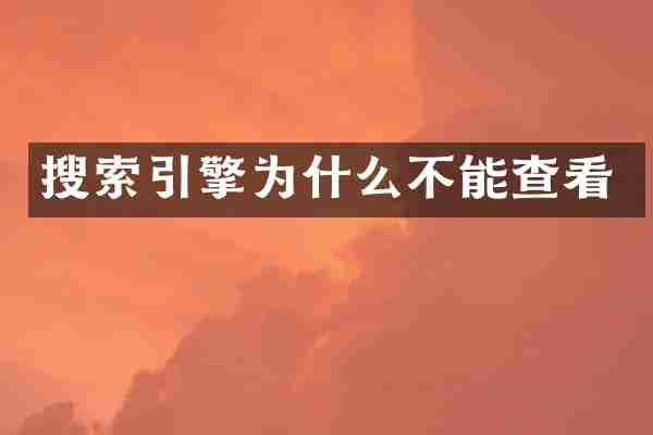 搜索引擎为什么不能查看