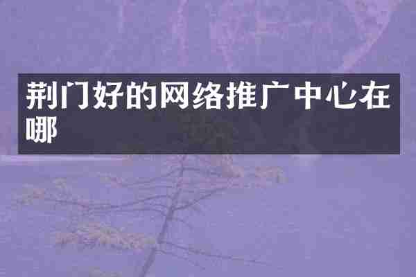 荆门好的网络推广中心在哪