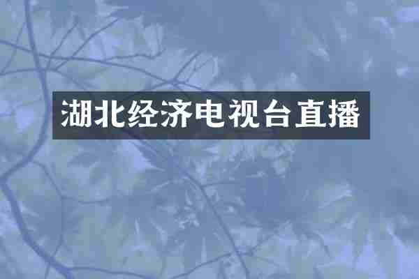 湖北经济电视台直播