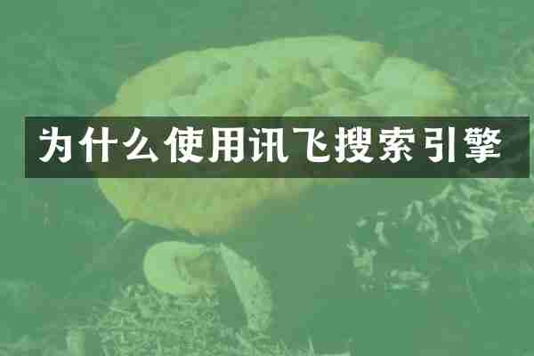 为什么使用讯飞搜索引擎