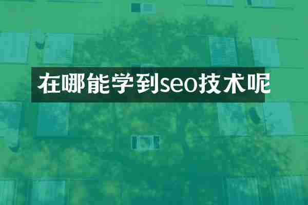 在哪能学到seo技术呢
