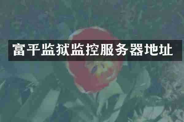 富平监狱监控服务器地址