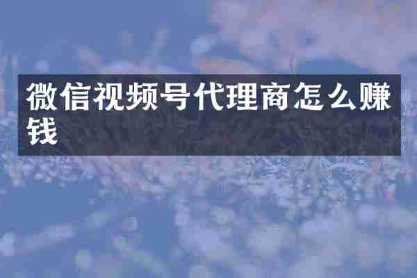 微信视频号代理商怎么赚钱