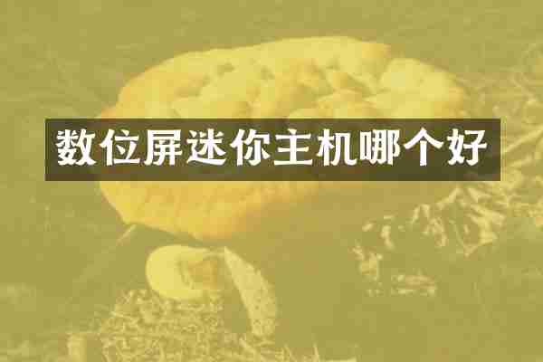 数位屏迷你主机哪个好