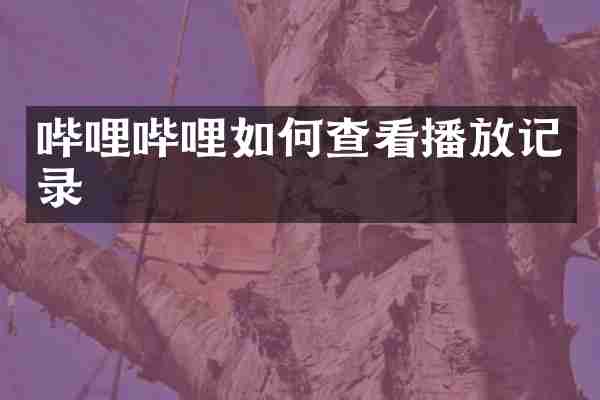 哔哩哔哩如何查看播放记录