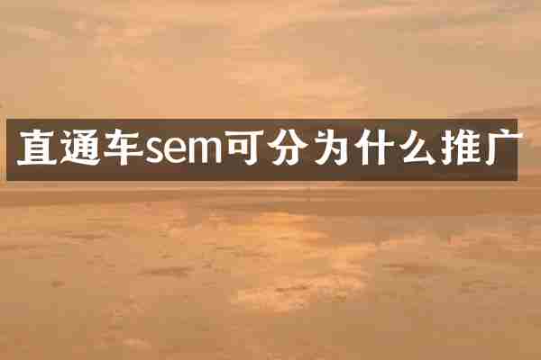 直通车sem可分为什么推广