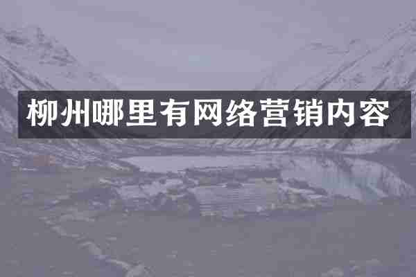 柳州哪里有网络营销内容