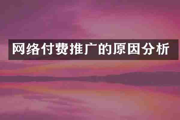 网络付费推广的原因分析