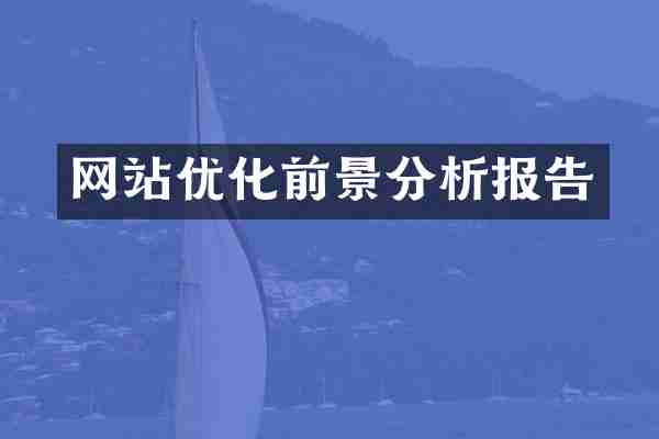 网站优化前景分析报告