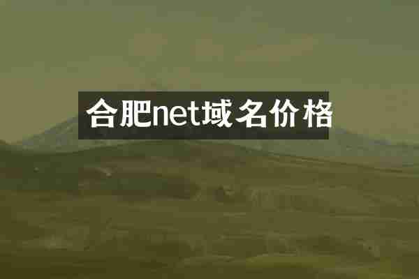 合肥net域名价格