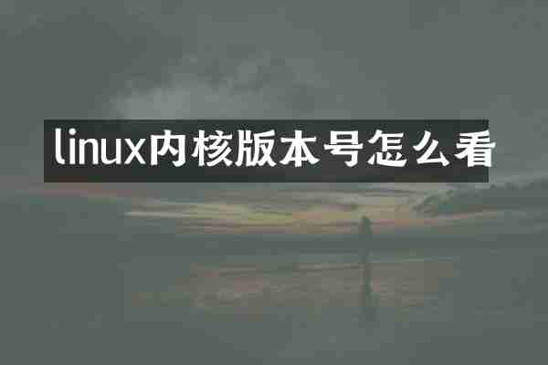 linux内核版本号怎么看