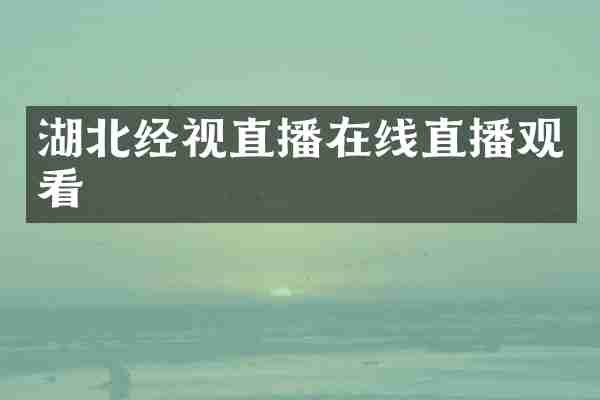 湖北经视直播在线直播观看
