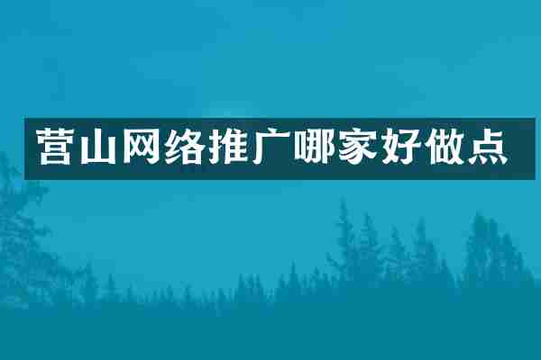 营山网络推广哪家好做点