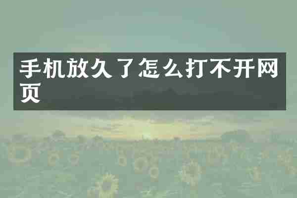 手机放久了怎么打不开网页