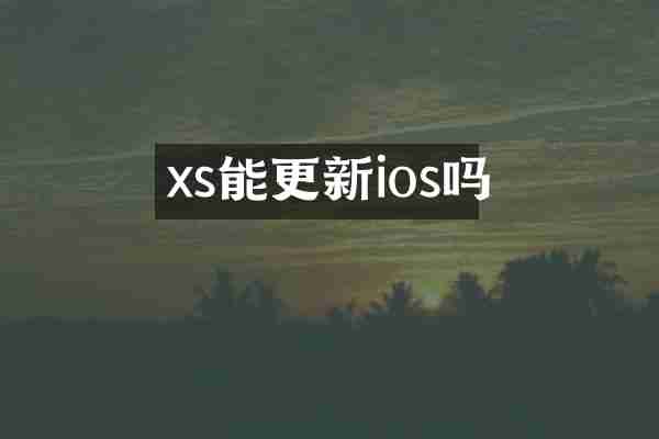 xs能更新ios吗