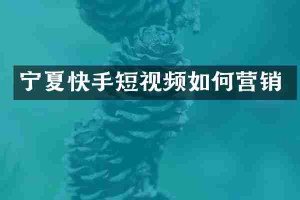 宁夏快手短视频如何营销