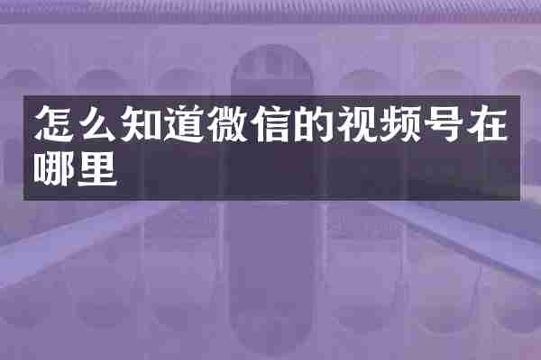 怎么知道微信的视频号在哪里