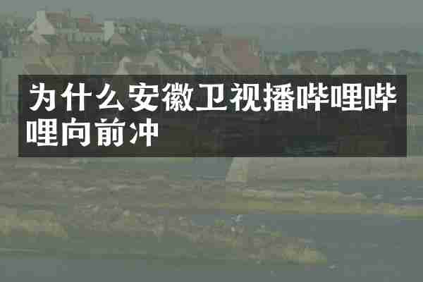 为什么安徽卫视播哔哩哔哩向前冲