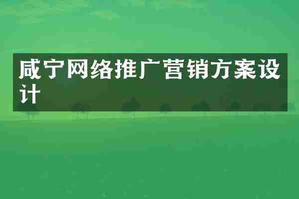 咸宁网络推广营销方案设计