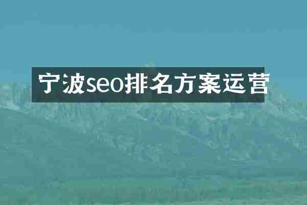 宁波seo排名方案运营