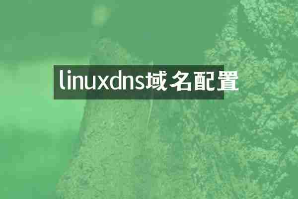 linuxdns域名配置